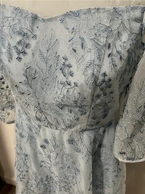 NWT Goelia Blue See-Through Mess Embroidered Dress Size 4 (Small) thumbnail 3