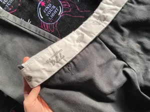 Dickies cargo pants thumbnail 2