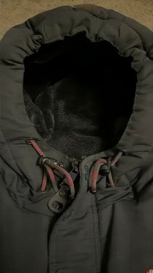 North Sportif Jacket Black thumbnail 4