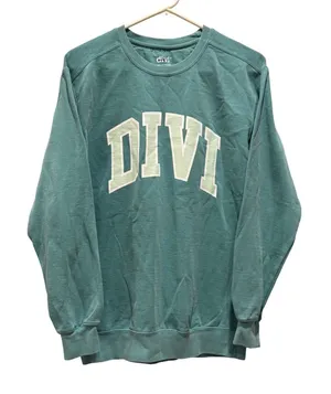 Divi Sweatshirt Women Small‎ Teal Green Varsity Logo Crew Neck Pullover thumbnail 1