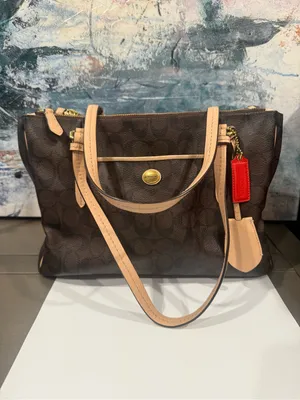 Coach Signature Payton Jordon Double Zip Signature Carryall Shoulder Tote Bag thumbnail 13