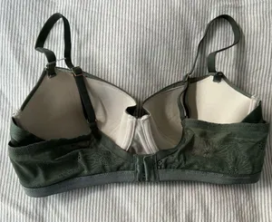 Lace Green and Tan Bra with Rose Gold clasps thumbnail 2