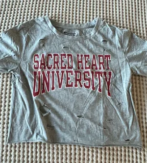 Gray Champion Sacred Heart University cropped tee with red text, size S #university #collegiate thumbnail 1
