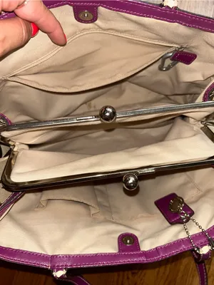 Coach Vintage Fuschia & Brown Signature Stripe Framed Carryall F19190 thumbnail 2