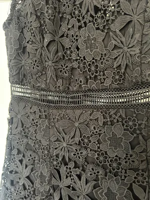 EUC Bardot Elise dress black lace US Size 6 / S thumbnail 3