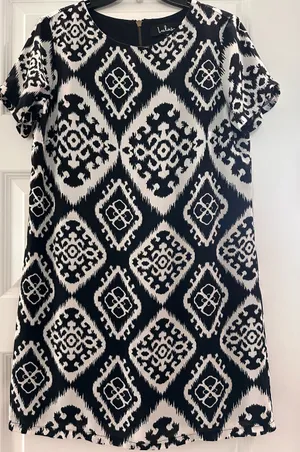 Lulu's Black and White Geometric Shift Dress thumbnail 1