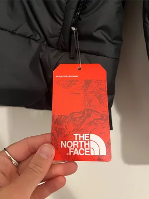 The North Face Black Quilted Puffer Jacket with white claw logo thumbnail 4