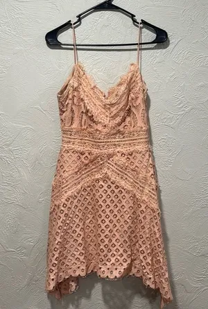 Keepsake the Label Bridges Lace Handkerchief Mini Dress Blush Size Large thumbnail 1