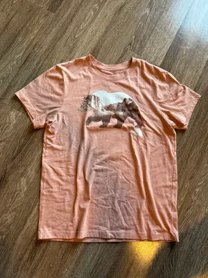 The North Face Peach Colored Shirt thumbnail 1