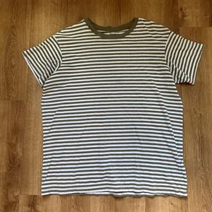 Madewell Striiped Softfade Cotton Oversized Tee in Capers XS thumbnail 1