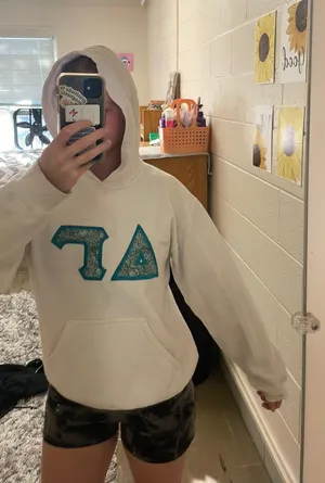 Gildan White Delta Gamma Sweatshirt thumbnail 1