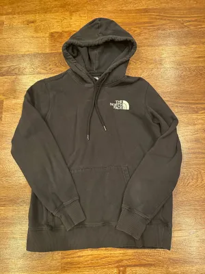 The North Face Box NSE Pullover Hoodie thumbnail 1
