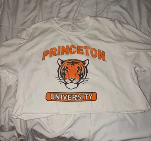 Princeton T-Shirt Gildan thumbnail 1