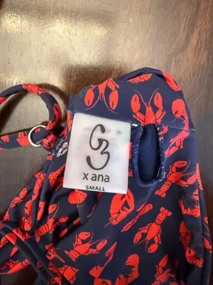 Grey Bandit x Ana Bikini thumbnail 3