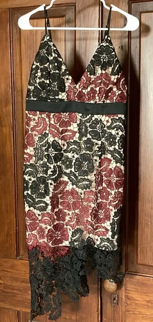 Bardot New Lace Asymmetrical V-neck Sleeveless Black Maroon Floral Dress Size 8 thumbnail 1