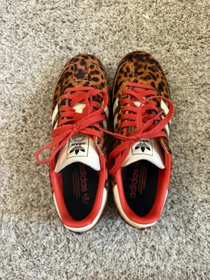 Cheetah Samba Adidas Shoes thumbnail 5
