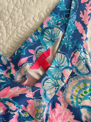 Lilly Pulitzer Dress thumbnail 4