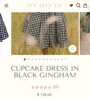 Ivy City Black Gingham Dress thumbnail 5