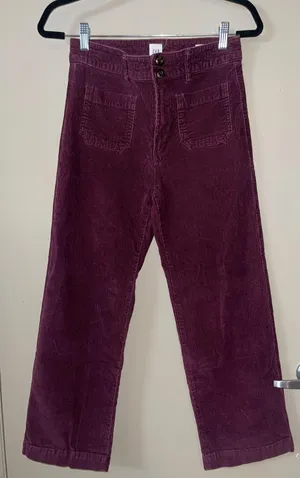 Corduroy Pants thumbnail 1