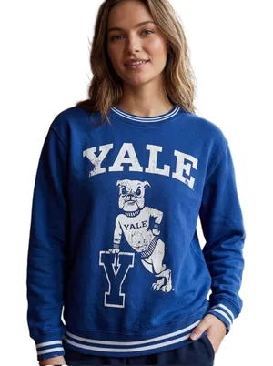 Yale University Bulldog Graphic Sweatshirt Blue Striped Trim Pullover Size Large thumbnail 1
