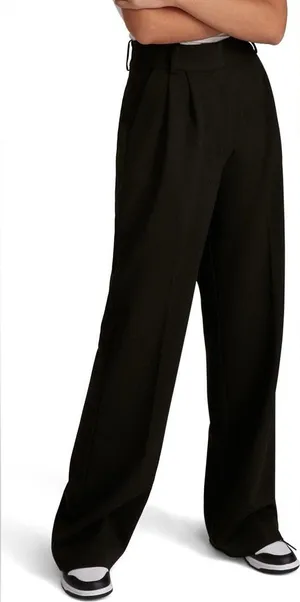 Favorite Daughter The‎ Favorite Pant Pleat Pants size 10 thumbnail 1