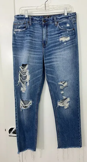 Abercrombie & Fitch Size 30 (10R) Annie High Rise Girlfriend Jeans thumbnail 1