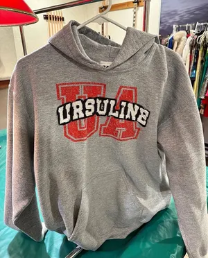 Champion Varsity Logo Hoodie in Gray Size Medium thumbnail 1