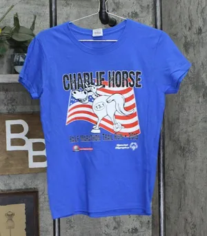 NEW Gildan Pacers Special Olympics Charlie Horse Run 2015 Shirt Royal Blue M thumbnail 1