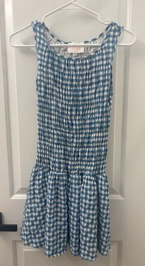 House of Spence blue and white gingham dress thumbnail 1