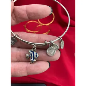 Alex and Ani Bangle Bracelet Lot 6pc‎ Nautical Lobster Fish Anchor Gold Silver thumbnail 5