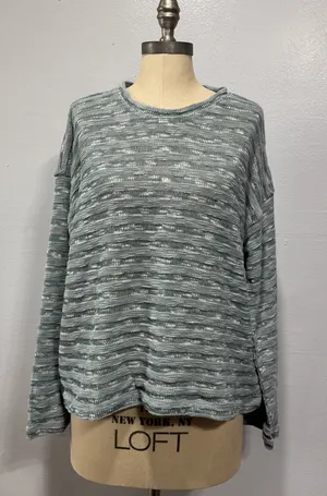 Madewell Crewneck Long-Sleeve Knit Sweater Tee Blue Horizon Stripe Size L Beachy thumbnail 1
