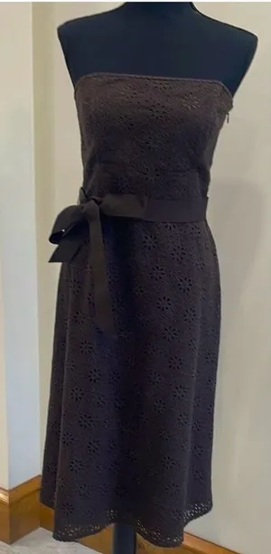 Banana Republic Brown Eyelit Strapless dress Size 10 thumbnail 1