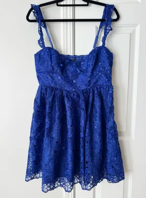 Anthropologie Ruffle-Strap Corset Lace Mini Dress, Size S thumbnail 6
