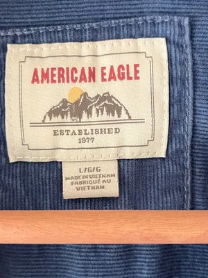 AE Sz L Oversized Striped Button-Up Flannel Shirt Chest Pocket thumbnail 3
