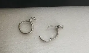 Snake Small Hoop Earrings for Men Women Streetwear Hip Hop Unisex Style thumbnail 3