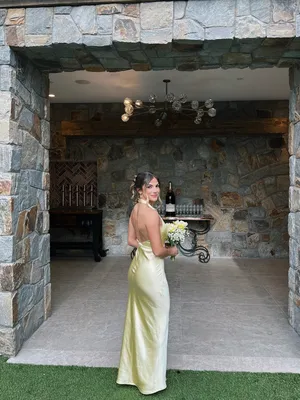 Showpo Maxi Dress thumbnail 2