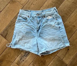 American Eagle Outfitters Shorts thumbnail 1