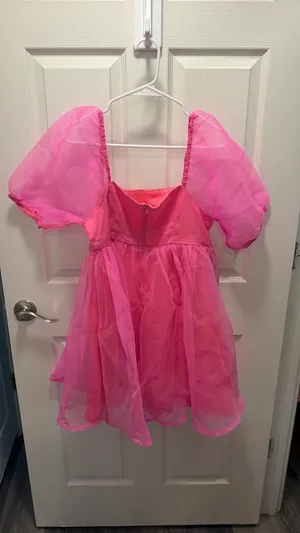 TCEC Pink Dress thumbnail 4