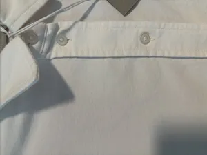 NWT Everlane The Relaxed Oxford Shirt thumbnail 12