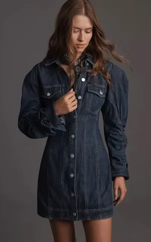NWT! Anthropologie PILCRO Long-Sleeve Button-Front Seamed Denim Mini Dress Small thumbnail 1