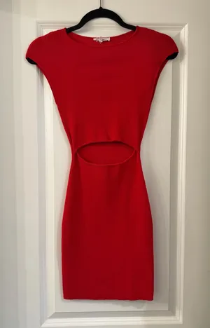 Mimosa Red Mini Dress thumbnail 1