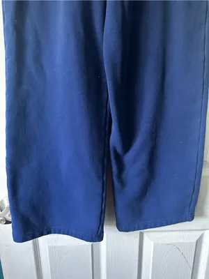 Aritzia Deep Navy Fleece Joggers thumbnail 4
