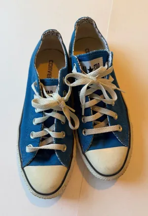 Converse All-Star Chuck Taylor Low thumbnail 1