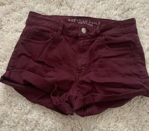 American Eagle Outfitters Shorts thumbnail 1