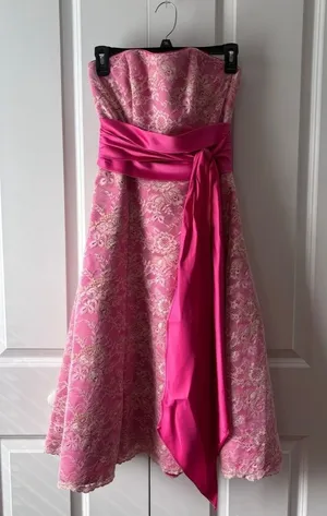 Raylia Designs Pink Lace Strapless Party Dress with Sash Size 6 New with Tags thumbnail 1