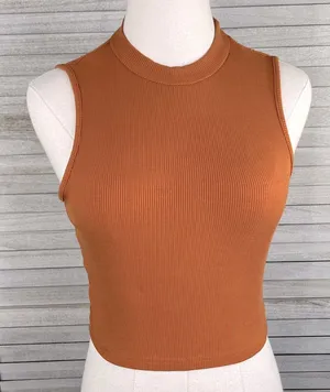 Stretchy Ribbed Cropped High Neck Sleeveless Tank Top Rust-Large thumbnail 1
