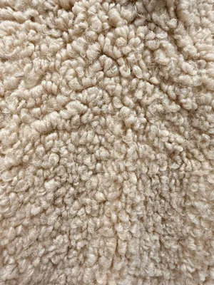 Sam Edelman Teddy Coat thumbnail 6
