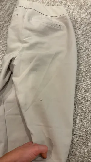 Ann Taylor Petite Dress Pants thumbnail 5