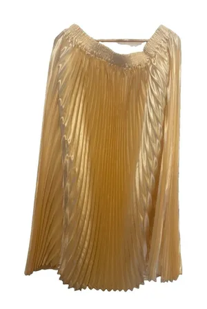 Petal And Pup Pleated Skirt Size 14 thumbnail 1
