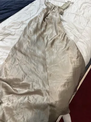 Sau Lee Paula Gown Size 2 thumbnail 5